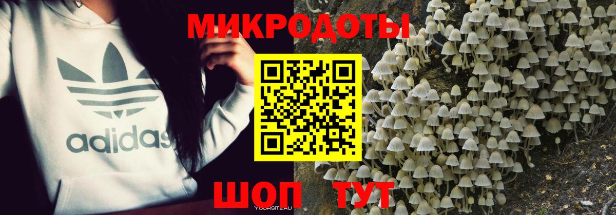 Набережные Челны  Псилоцибиновые грибы Cubensis  Псилоцибиновые грибы GOLDEN TEACHER  Вход с VPN 